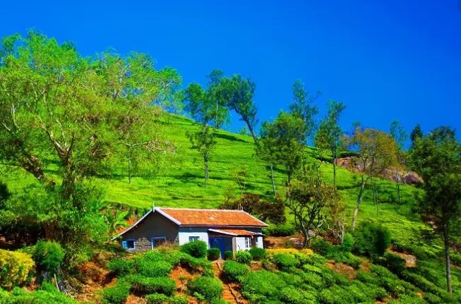 best hill stations in Ooty, 20 popular hill stations of Ooty, largest hill-stations in Ooty, popular hill-stations near Ooty, the famous hill station of Ooty, beautiful hill-stations near Ooty