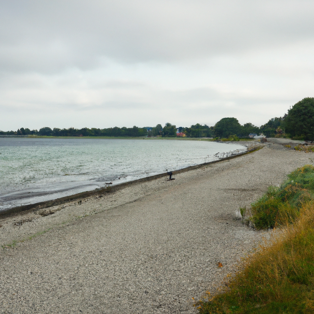 Charlottenlund Beach Park In Denmark: Overview,Timings, & Activities