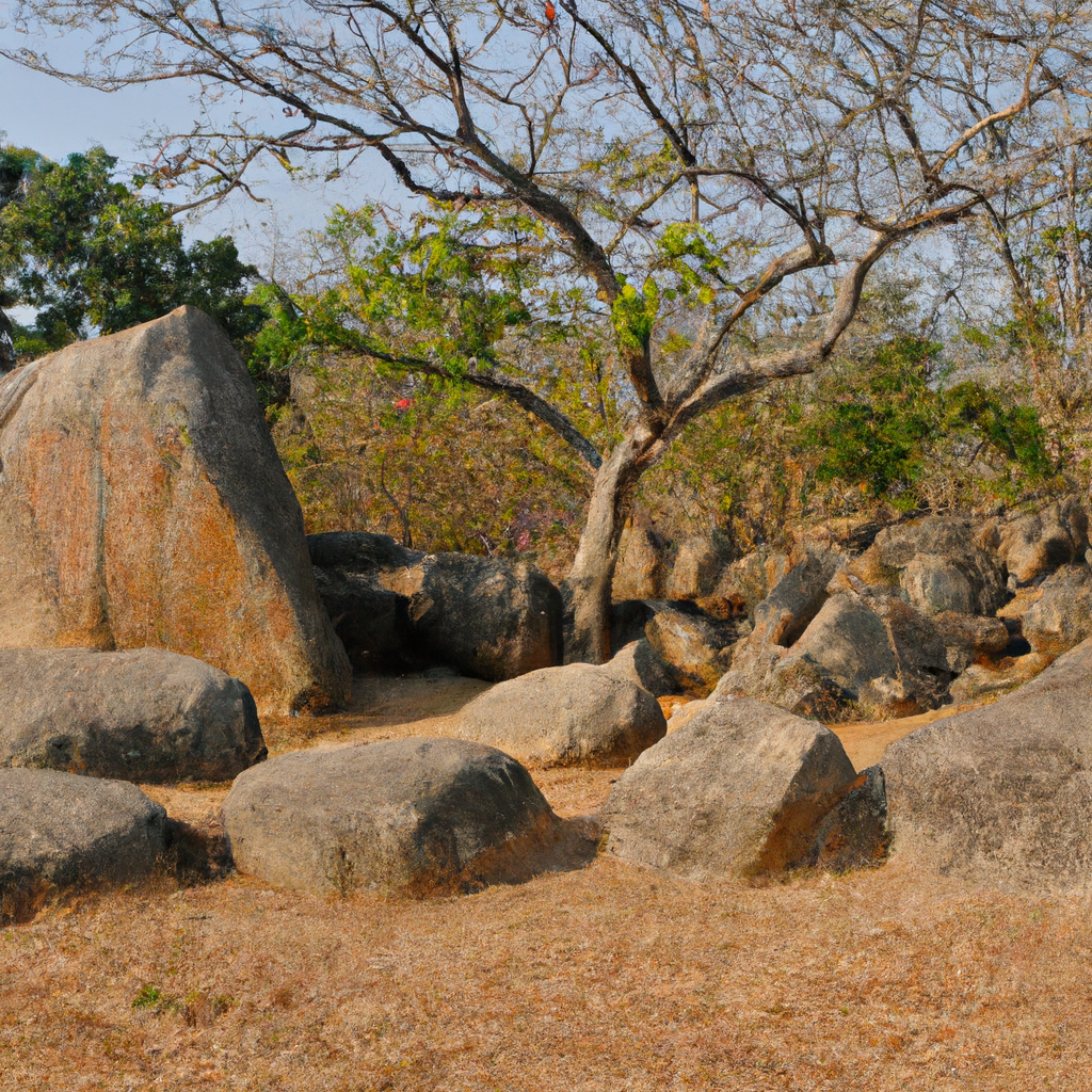 Megalithic Cists and Cairns, Virapuram In India: History,Facts, & Services