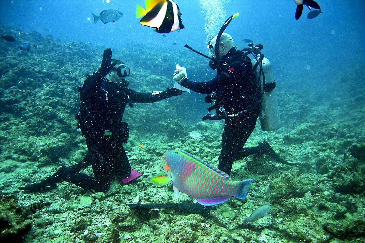 Best Scuba Diving Destinations in Spain I Spanish Scuba Diving