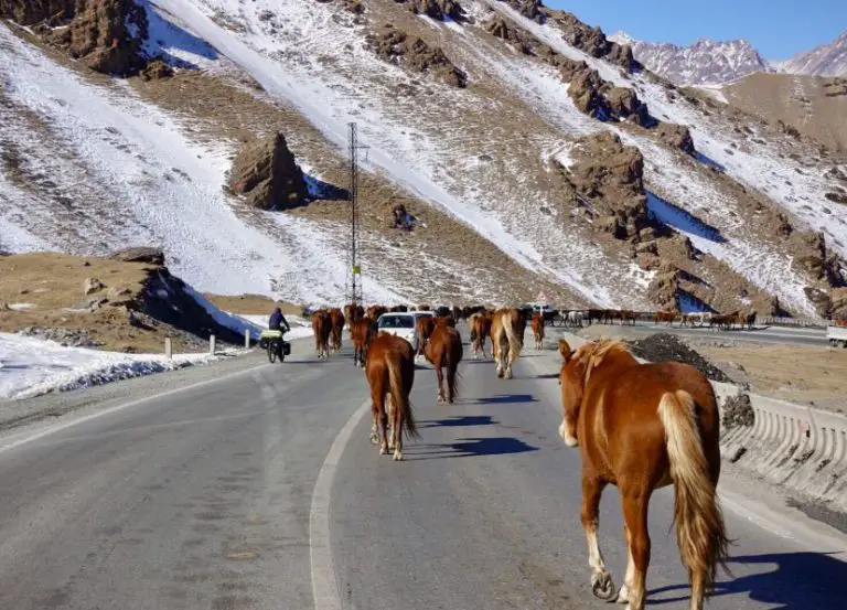 Кара балта киргизия фото