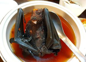 17 Bizarre and Weird Foods in China That People Love to Eat