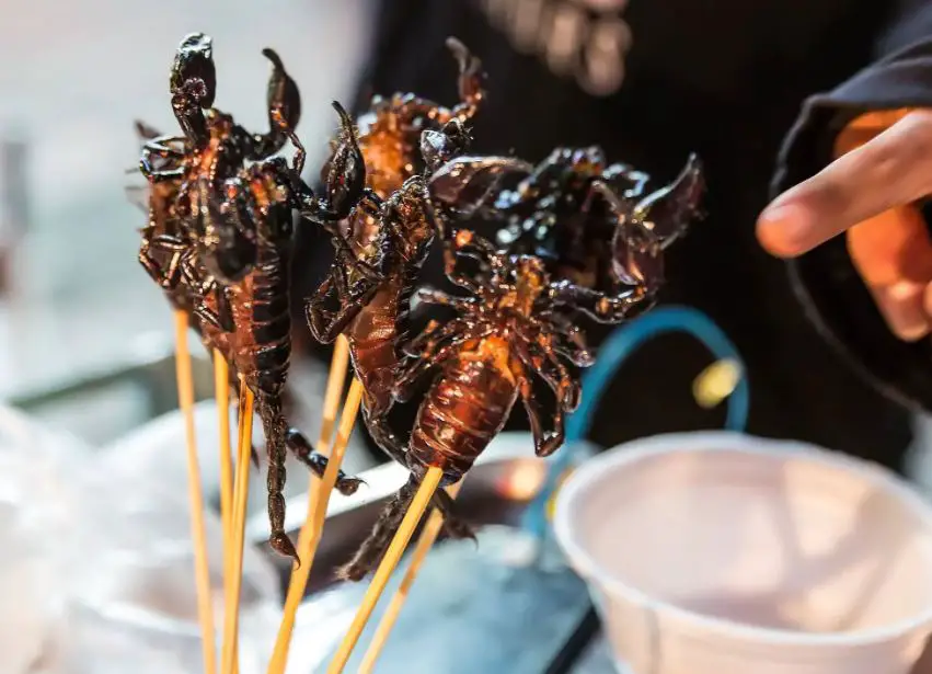 The 14 Unusual And Weird Thai Foods To Try If You Dare