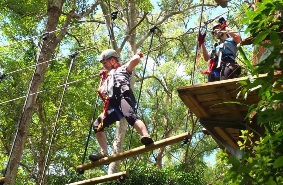 Top 10 Adventures in Brisbane to Enjoy 2021| Best Outdoor Activities in ...