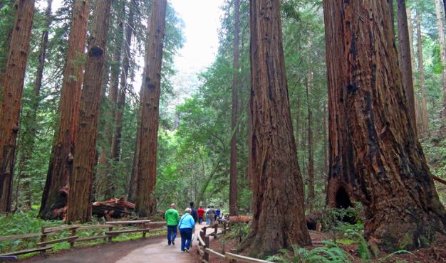  top northern California attractions, northern California tourist attractions