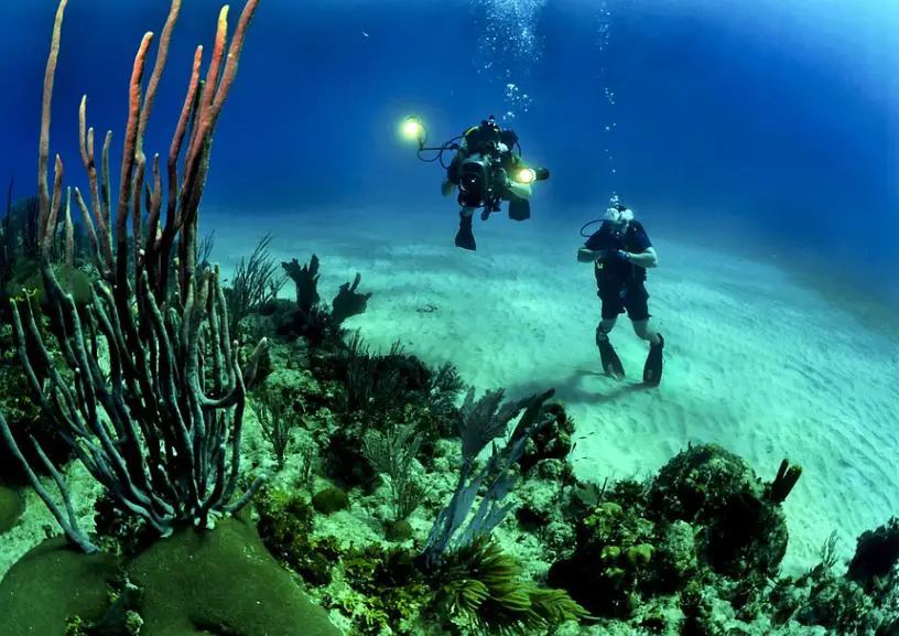 Spanish Scuba Diving, Scuba Diving In Spain, Best Scuba Diving In Spain