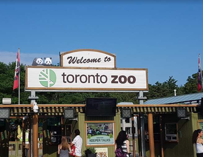 What is Toronto is popular for, Toronto to worth-visit, Toronto well-known for, famous food in Toronto