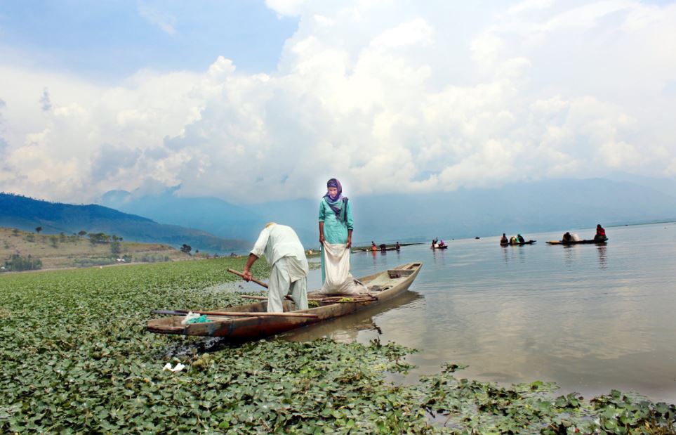  lakes to visit in Srinagar, lakes in Srinagar Kashmir, popular lakes in Srinagar, most famous lakes in Srinagar, most visited lakes in Srinagar