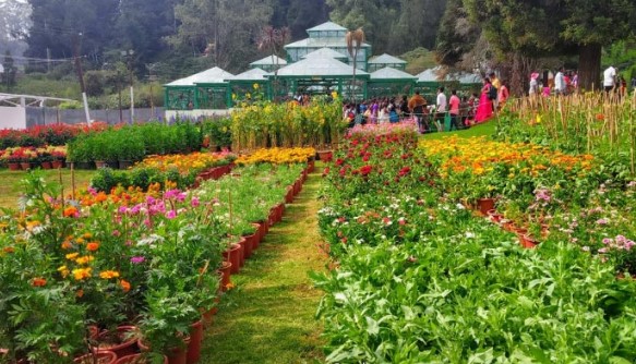 best thing to do in Ooty during Monsoon, best thing to do in Ooty, popular things to do in Ooty during, Monsoon, , must-do things in Ooty during rains,
