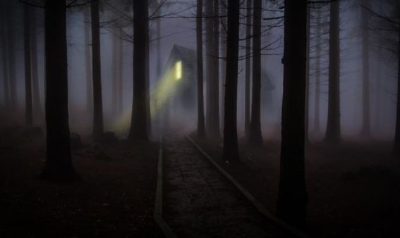 most haunted forests of the United States,haunted forests of the United States,famous haunted forest in the United States,spookiest places in the United States,haunted spot in the United States