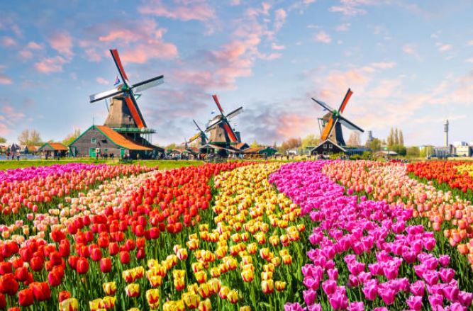 best winter vacations with snow,Amsterdam in winters,winter vacation in Amsterdam,explore Amsterdam, best time to visit Amsterdam,things to do in Amsterdam in winter