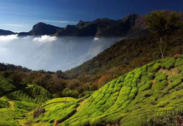 best time to visit Munnar, Munnar sightseeing, best place to visit in Munnar, places to visit in Munnar