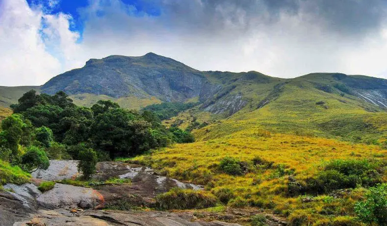 ourist places in Munnar, famous tourist places in Munnar, best places to visit in Munnar